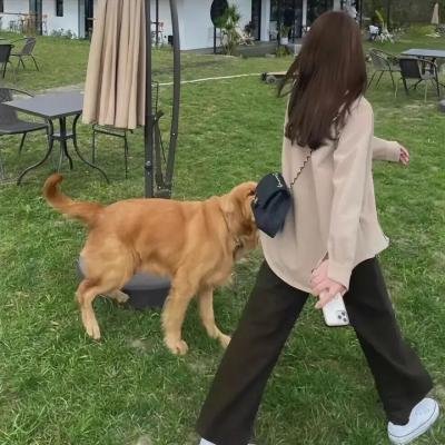 一个人的冬天